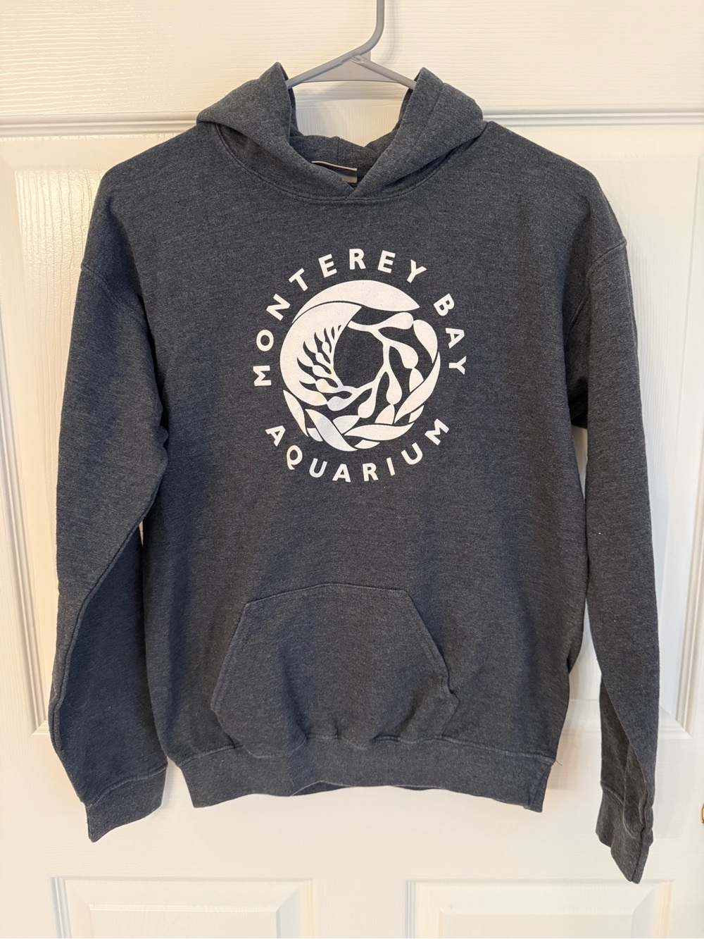 Monterey Bay Dark Charcoal Logo Hoodie in Gray, Youth XL